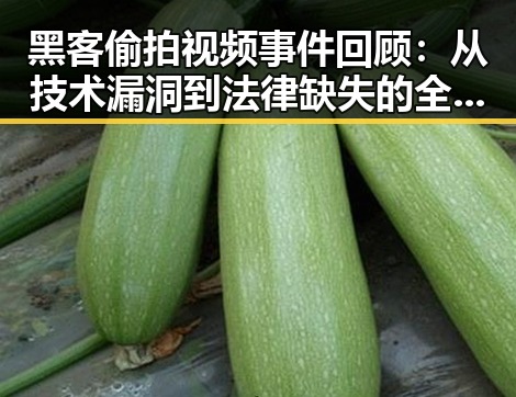 黑客偷拍视频事件回顾：从技术漏洞到法律缺失的全过程