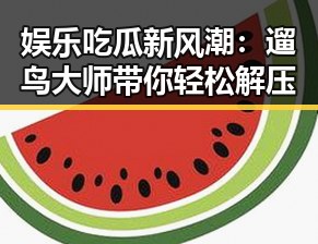 娱乐吃瓜新风潮：遛鸟大师带你轻松解压