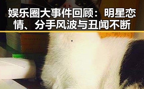 娱乐圈大事件回顾：明星恋情、分手风波与丑闻不断